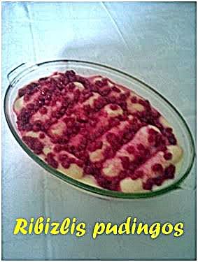 202.._.._ribizlis_pudingos_t-ne.jpg 202.._.._ribizlis_pudingos_t-ne.jpg